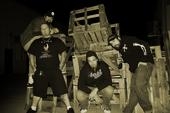 Back Alley Brawler