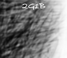 2G1B