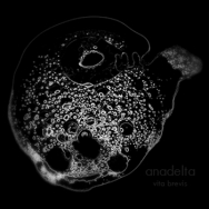 anadelta