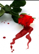 bleeding through the bullet wounds