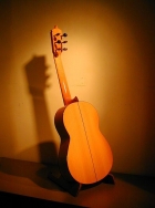 Acoustic Serenade