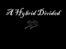 A Hybrid Divided