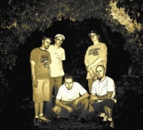 Above Suspicion