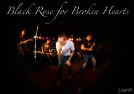 Black Rose For Broken Hearts