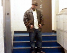 1DUTCH1LIFE